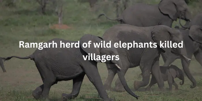 झारखंड में जंगली हाथियों ने ग्रामीणों को मार डाला